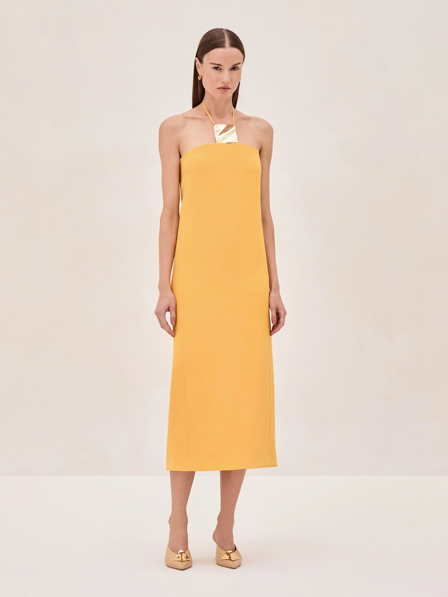 Sezane Dress